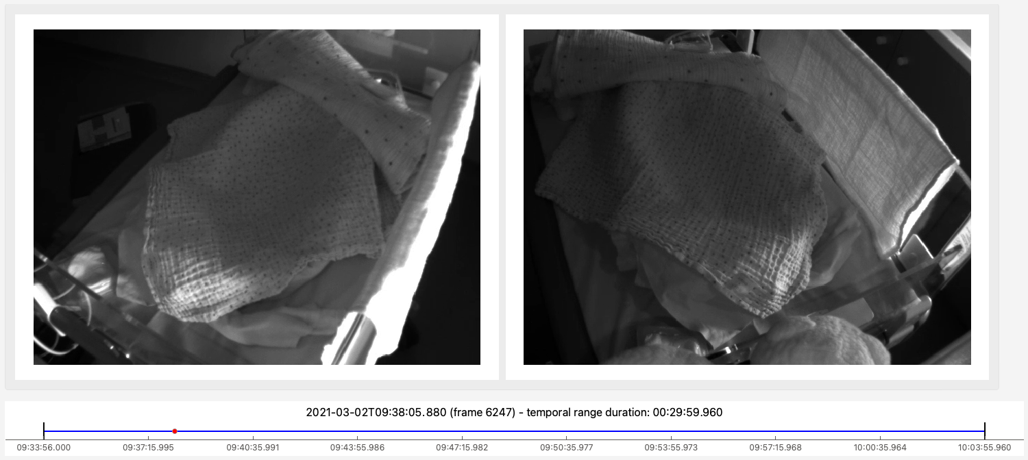 _images/example_video.png