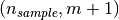 (n_{sample},m+1)